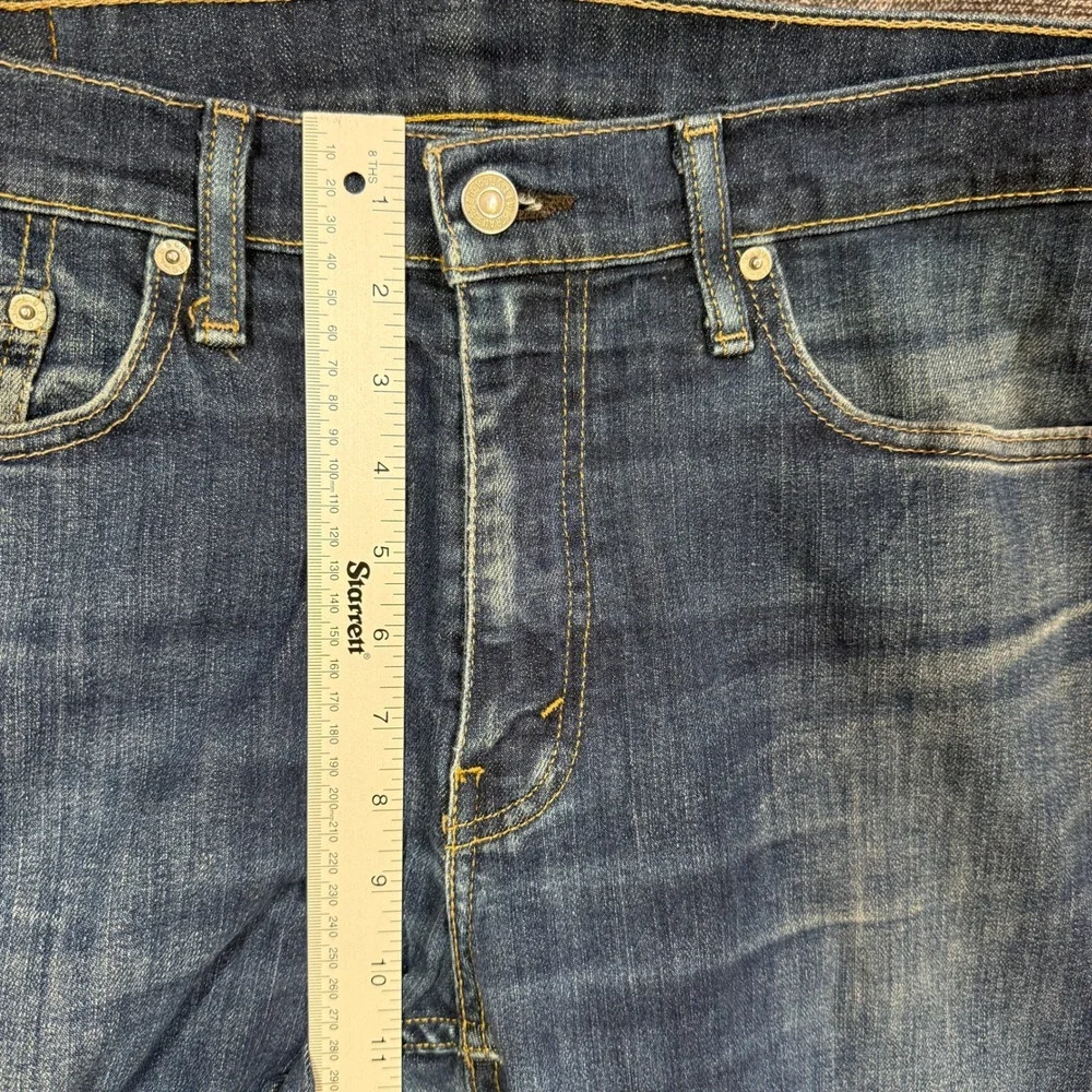 Levis levis 513